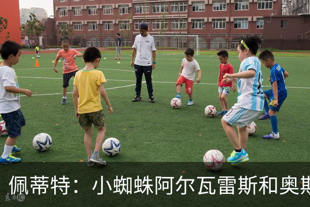 佩蒂特：小蜘蛛阿尔瓦雷斯和奥斯梅恩，阿森纳的理想选择